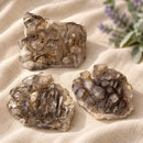 Smoky Elestial Quartz Cluster from Brazil by Talk to Crystals for meditation, grounding, higher realms and receiving information from spiritual guides