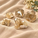 Smoky Quartz with Golden Rutile Cluster from Brazil by Talk to Crystals for grounding, protection, meditation and letting go of the past