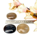 Smoky Quartz Palmstones (Grounding & Detoxification)