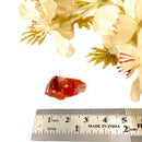 South Red Agate Mineral Specimen (Si Chuan)