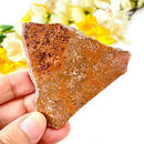 Starburst / Fireworks Jasper Slice