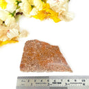 Starburst / Fireworks Jasper Slice