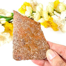 Starburst / Fireworks Jasper Slice