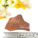 Starburst / Fireworks Jasper Slice