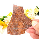 Starburst / Fireworks Jasper Slice