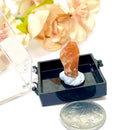 Sunstone Mineral Specimen (Nigeria)