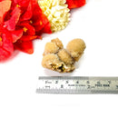 Brown Thomsonite Rough (Protection & Emotional Clarity)