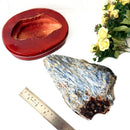 Raw Blue Kyanite on a Stand (Aura Cleanser & High Vibration)