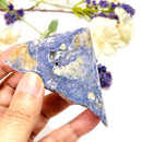 Tiffany Stone / Bertrandite Slice