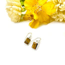 Tiger Eye Earrings in Silver