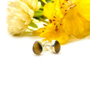 Tiger Eye Earrings in Silver