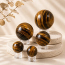 Tiger Eye spheres by Talk to Crystals, available in various sizes, featuring natural healing crystals for confidence, courage, focus, clear decision-making, protection, and Solar Plexus Chakra healing in India