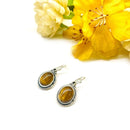 Tiger Eye Earrings in Silver