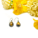 Tiger Eye Earrings in Silver