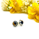 Tiger Eye Earrings in Silver