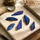 Natural Titanium Aura Kyanite Rough by Talk to Crystals for aura cleansing, chakra alignment, cord cutting and removing negative energy