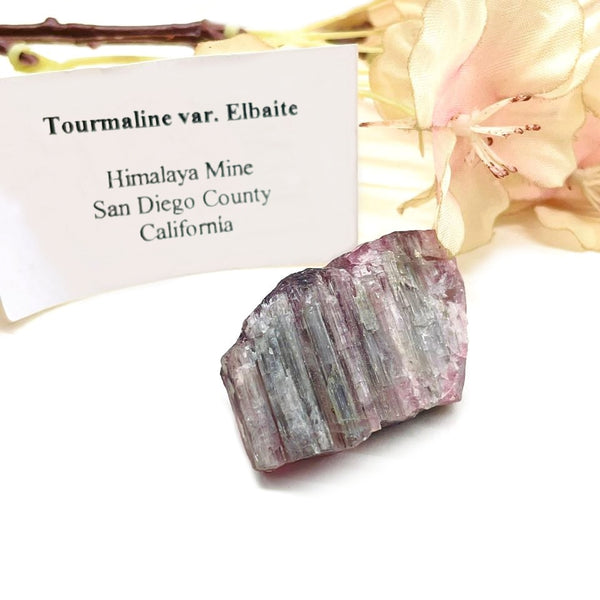 Tourmaline var. Elbaite Mineral Specimen (California, USA)