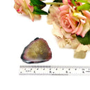 Polychrome Tourmaline Polished Slices (Healing Heart & Power)