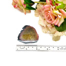 Polychrome Tourmaline Polished Slices (Healing Heart & Power)