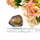 Polychrome Tourmaline Polished Slices (Healing Heart & Power)