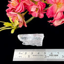 True Clear Selenite (Cleansing Light Energy)