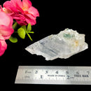 True Clear Selenite (Cleansing Light Energy)
