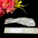 True Clear Selenite (Cleansing Light Energy)