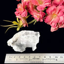 True Clear Selenite (Cleansing Light Energy)