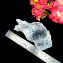 True Clear Selenite (Cleansing Light Energy)