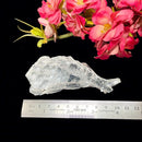 True Clear Selenite (Cleansing Light Energy)