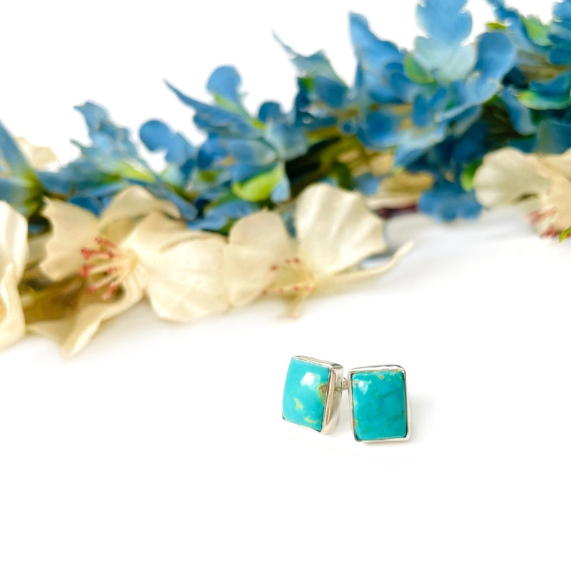 Turquoise Earrings in Silver