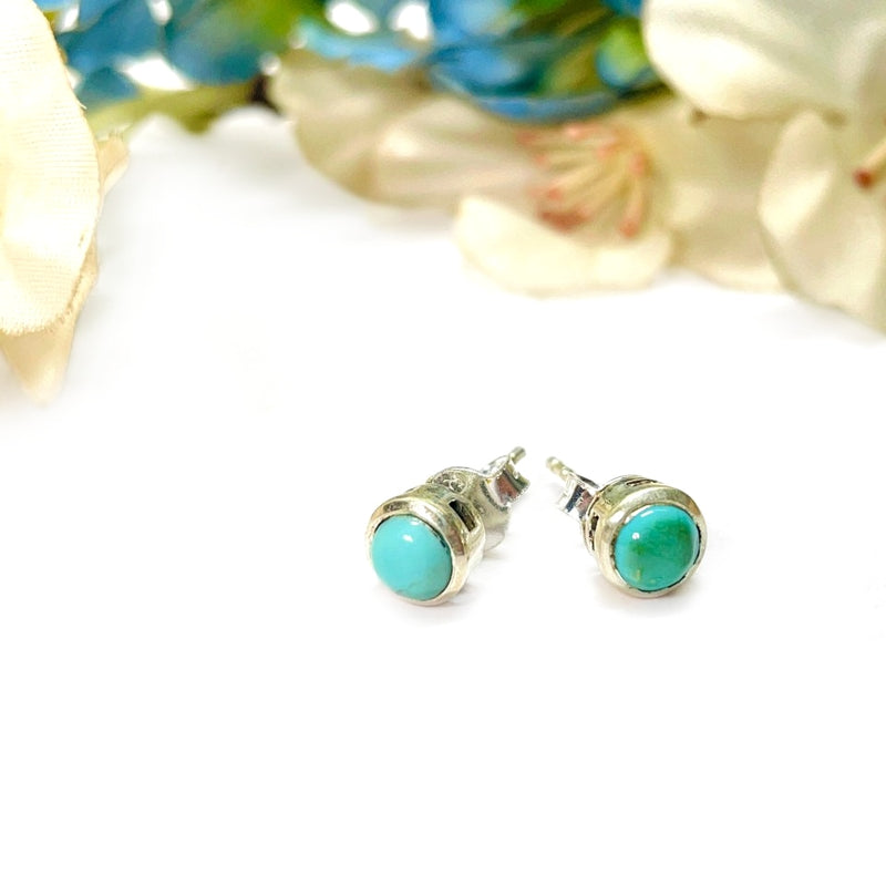 Turquoise Earrings in Silver