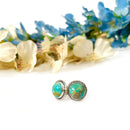 Turquoise Earrings in Silver