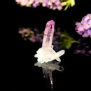 Vera Cruz Amethyst (High Vibration)
