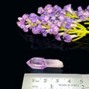 Vera Cruz Amethyst (High Vibration)