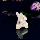 Vera Cruz Amethyst (High Vibration)