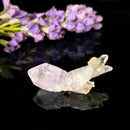 Vera Cruz Amethyst (High Vibration)