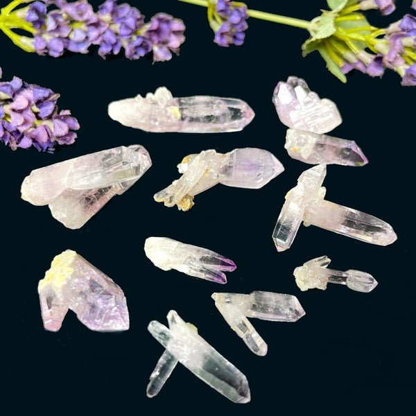 Vera Cruz Amethyst (High Vibration)