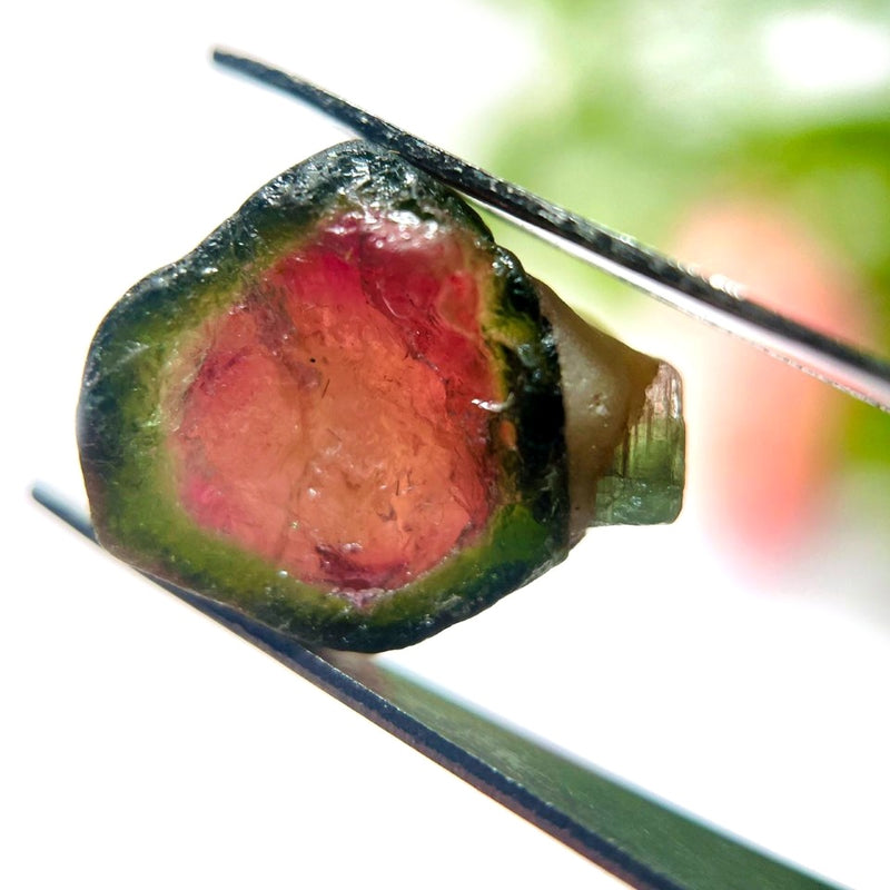 Watermelon Tourmaline Rough Slices (Empathy and Compassion)