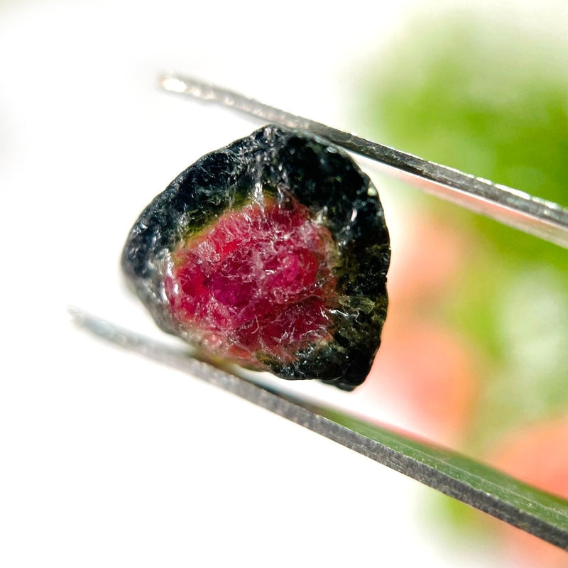 Watermelon Tourmaline Rough Slices (Empathy and Compassion)