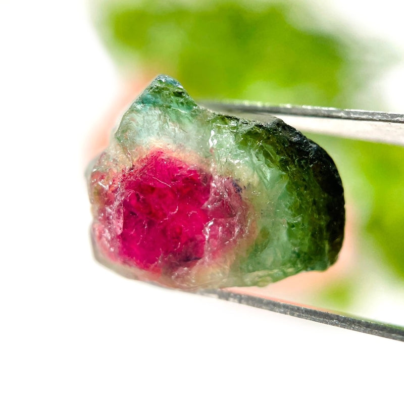 Watermelon Tourmaline Rough Slices (Empathy and Compassion)