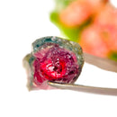 Watermelon Tourmaline Rough Slices (Empathy and Compassion)