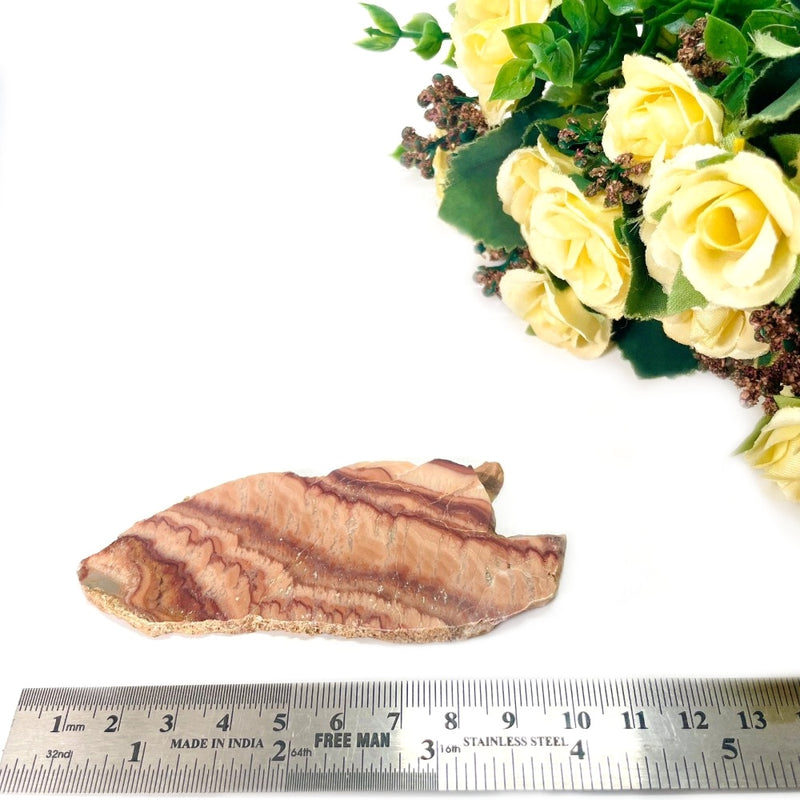 Wave Dolomite / Rolling Hills Dolomite Slice