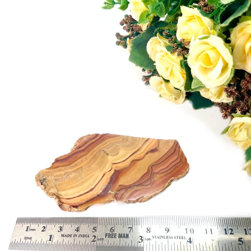 Wave Dolomite / Rolling Hills Dolomite Slice