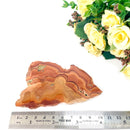 Wave Dolomite / Rolling Hills Dolomite Slice