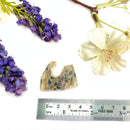 Wood Schalenblende Slice (Focus & Creativity)