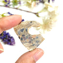 Wood Schalenblende Slice (Focus & Creativity)