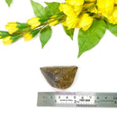 Natural Citrine Points from Zambia (Not heat treated)