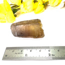 Natural Citrine Points from Zambia (Not heat treated)