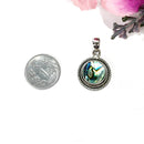 Abalone Shell Premium Pendants in Silver (Emotional Healing)